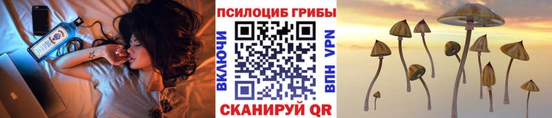 MEGA ТОР  где можно купить   Надым  Галлюциногенные грибы Cubensis 